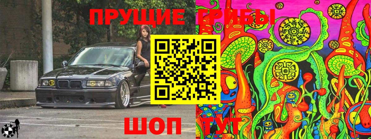 Псилоцибиновые грибы MAGIC MUSHROOMS  Галлюциногенные грибы MAGIC MUSHROOMS  Вход с VPN  купить закладку  Стрежевой 