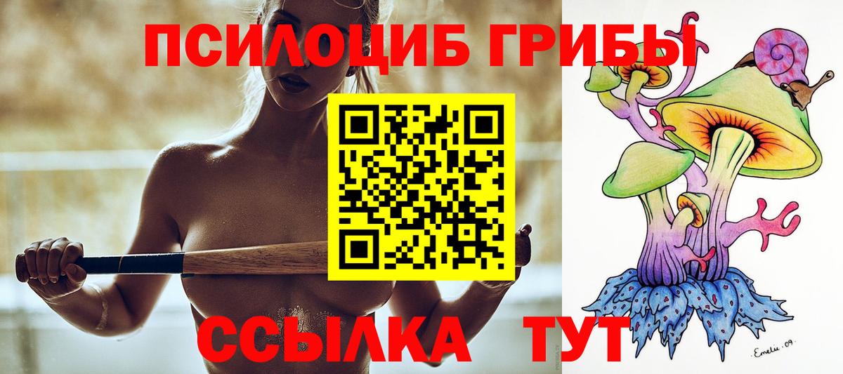 Псилоцибиновые грибы Cubensis Стрежевой